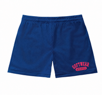 Softwear Athletics mesh shorts (blue)